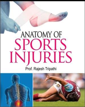 Anatomy-of-Sports-Injuries