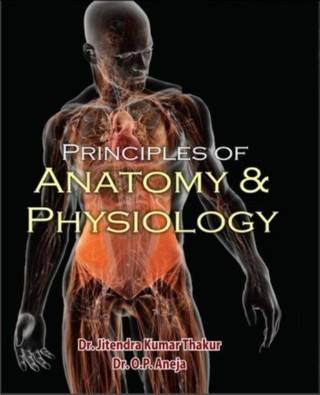 Principles-of-Anatomy-And-Physiology