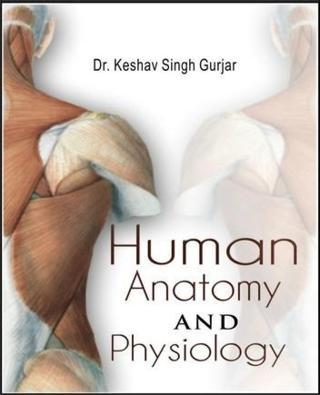 Human-anatomy-And-Physiology