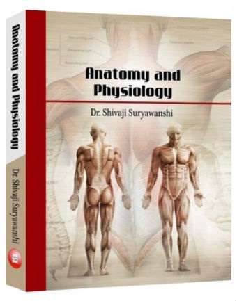 Anatomy-and-Physiology---1st-Edition