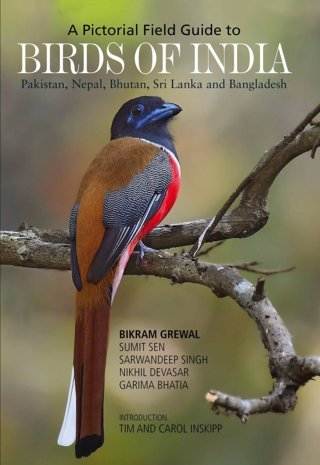 Birds-Of-India