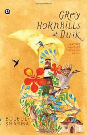 Grey-Hornbills-at-Dusk:-Nature-Rambles-Through-Delhi