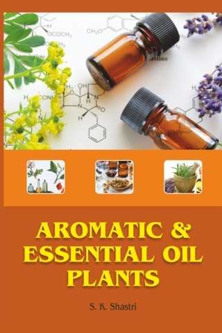 Aromatic-And-Essential-Oil-Plants