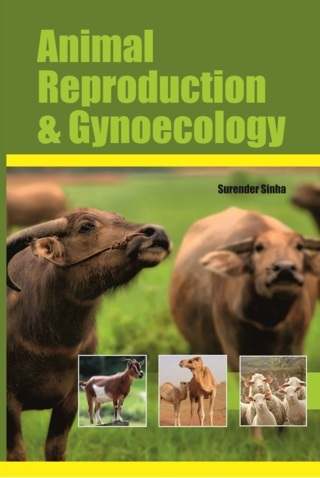 Animal-Reproduction-And-Gynoecology