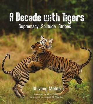 A-Decade-with-Tigers-Supremacy,-Solitude,-Stripes-1st-Edition